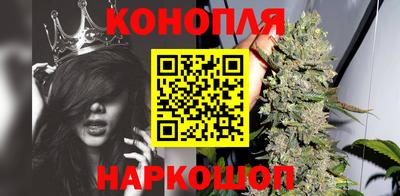 мдпв Ставрополь