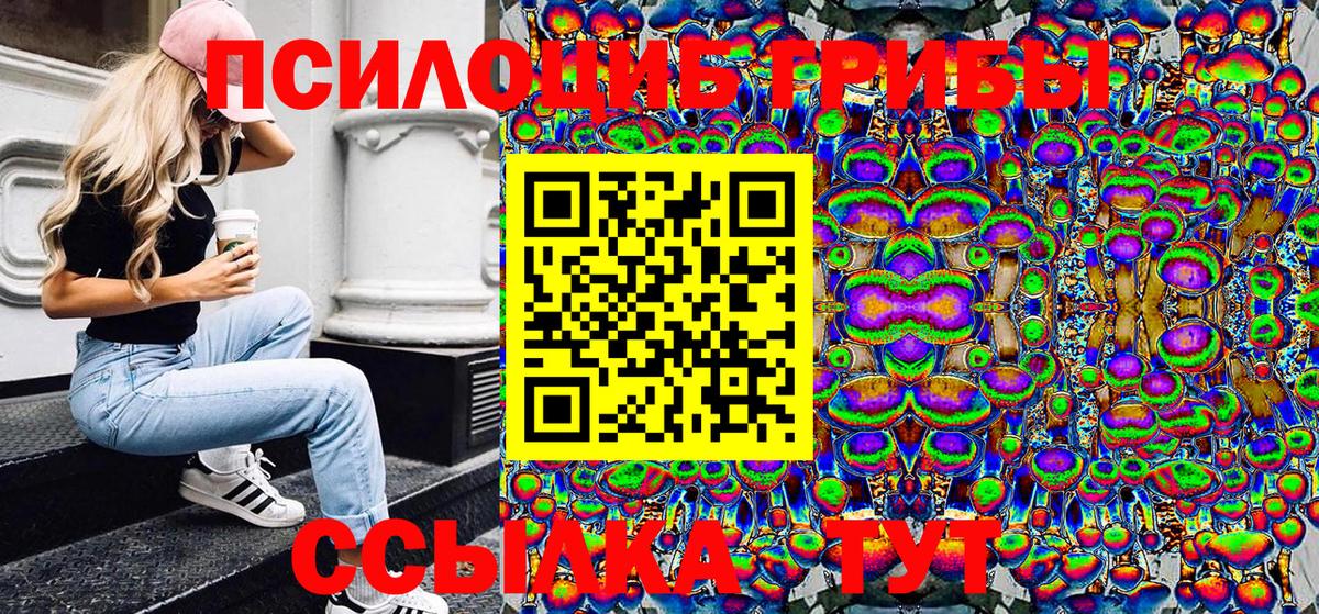 Псилоцибиновые грибы GOLDEN TEACHER Бердск