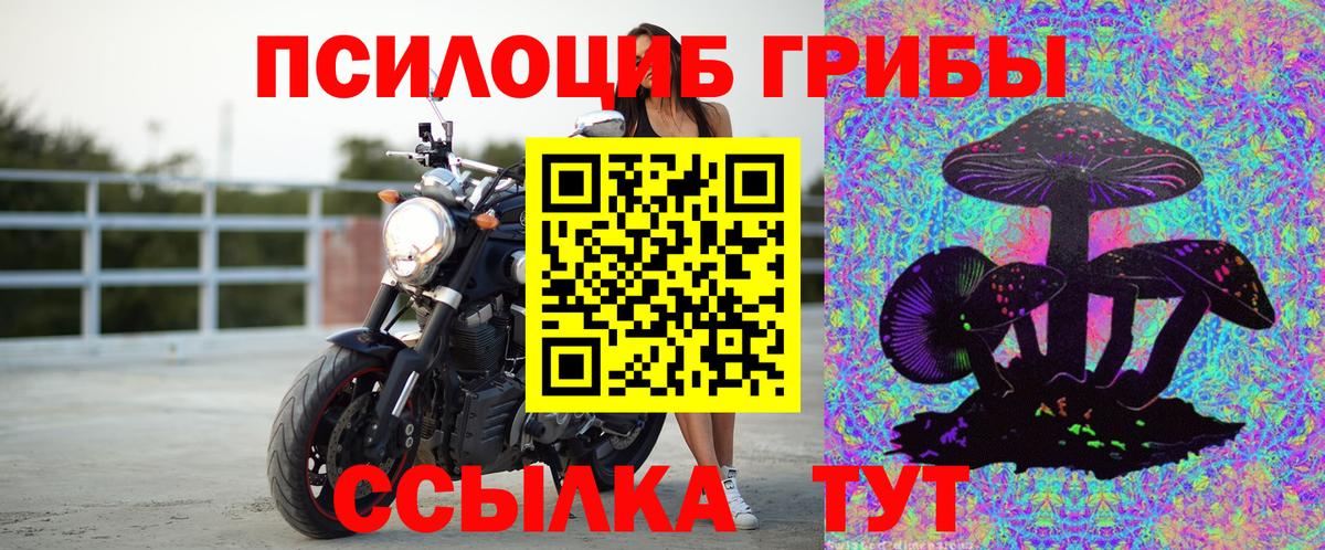 Бердск  Галлюциногенные грибы Psilocybe  Вход с VPN 